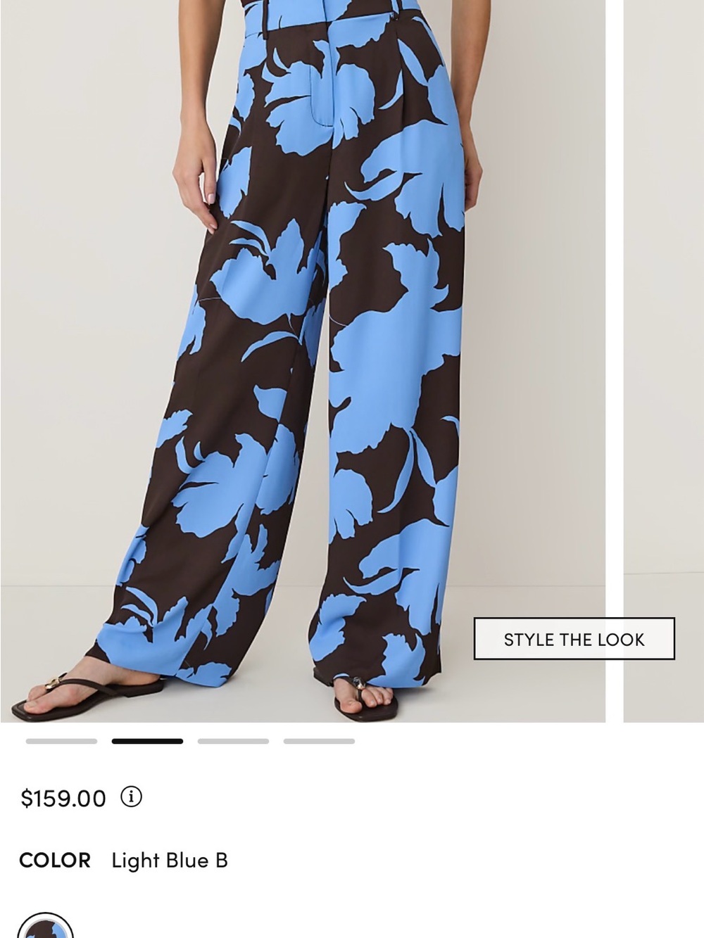 Ann Taylor Wide-Leg Floral Print Pants in Light Blue and Dark Brown